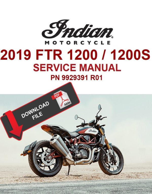 Indian 2019 FTR 1200 Service Manual