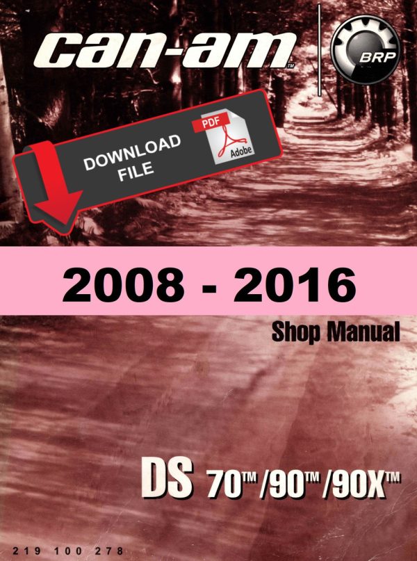 Can-Am 2015 DS 90X Service Manual