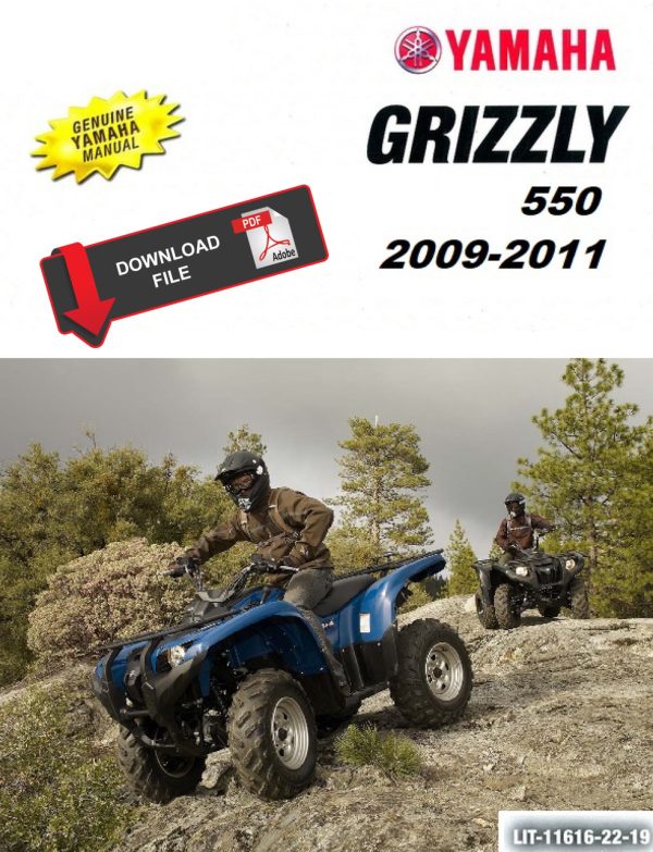 Yamaha 2010 Grizzly 550 4x4 Service Manual