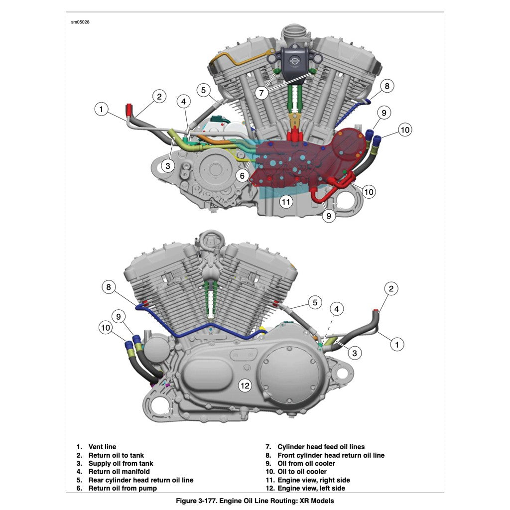 HARLEY DAVIDSON SPORTSTER MODELS (2008-2021) SERVICE MANUAL + PARTS CATALOGUE - Image 7
