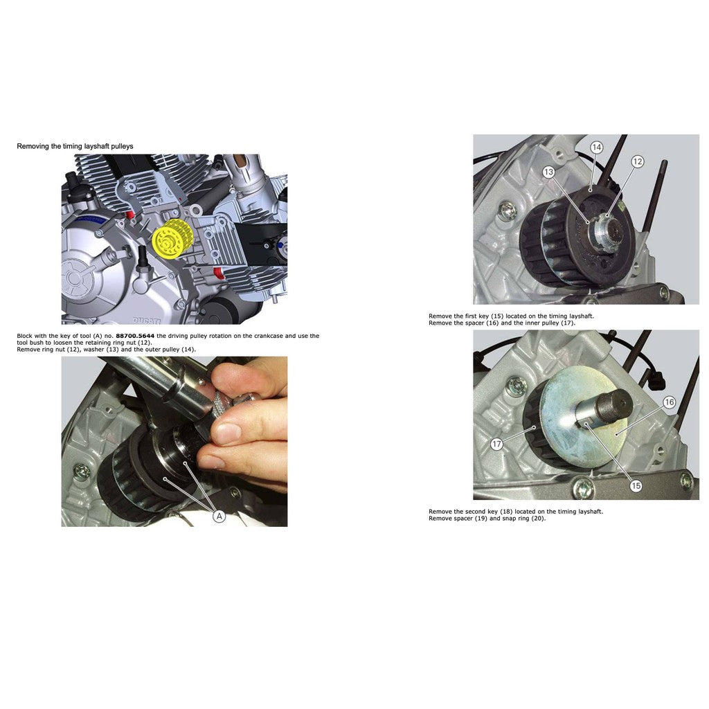 DUCATI SCRAMBLER 800 (2015-2018) SERVICE REPAIR WORKSHOP MANUAL + PARTS CATALOGUE + OWNER'S MANUAL - Image 8