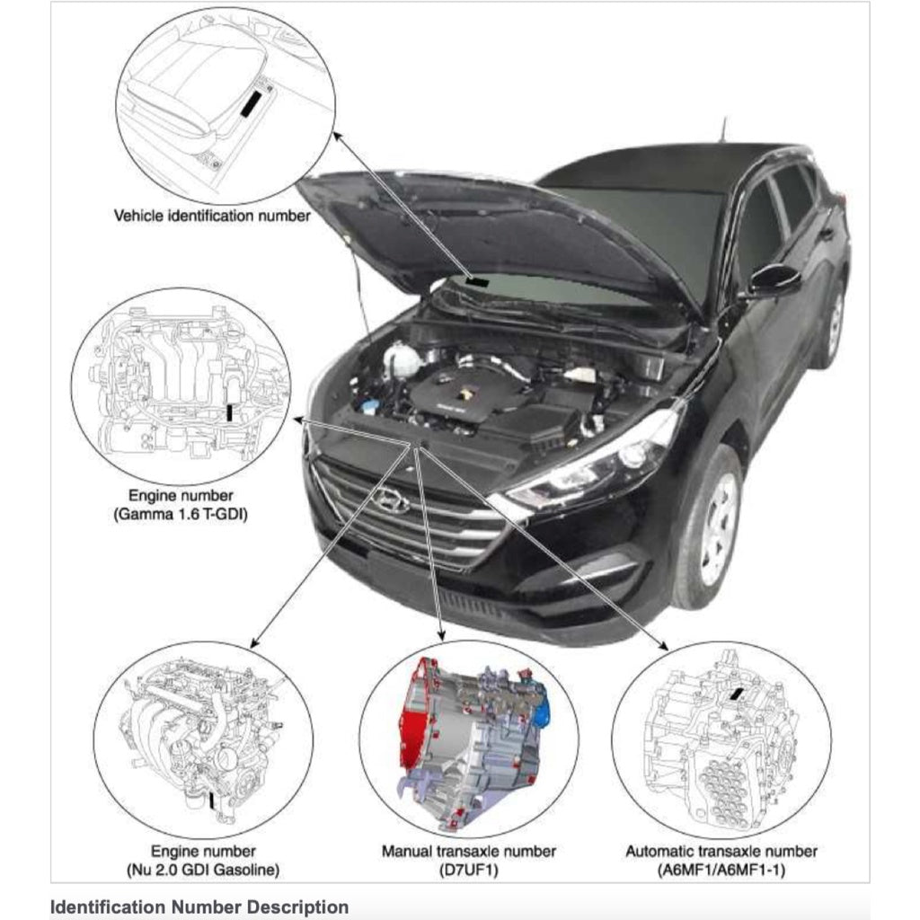 HYUNDAI TUCSON TL 1.6L T-GDI & 2.0L GDI (2016-2021) SERVICE WORKSHOP MANUAL IN PDF FORMAT (
1400 PAGES
) SUPPLIED AS DOWNLOADABLE LINK.
This is the same type of service manual your local HYUNDAI dealer will use when doing a repair. This manual has detailed illustrations as well as step by step instructions. All pages are printable, so run off what you need and take it with you into the garage or workshop.
WE ARE OFFERING A CHOICE OF TWO ENGINES FOR THIS MANUAL (SELECTED UPON CHECKOUT):
-
1.6L T-GDI (GAMMA)
- 2.0L GDI (NU)
REFERENCE POWERTRAIN
Engine
Petrol:
1.6 L Gamma GDi I4
1.6 L Gamma T-GDi I4
2.0 L Nu MPi I4
2.0 L Nu GDi I4
2.4 L Theta II MPi I4
2.4 L Theta II GDi I4
Diesel:
1.6 L U II CRDi I4
1.7 L U II CRDi I4
2.0 L R II CRDi I4
Transmission
6-speed manual
6-speed automatic
8-speed automatic
7-speed DCT
WHAT'S INSIDE ?
Detailed sub-steps expand on repair procedure information
Notes, cautions and warnings throughout each chapter pinpoint critical information.
Numbered instructions guide you through every repair procedure step by step.
Bold figure number help you quickly match illustrations with instructions.
Detailed illustrations, drawings and photos guide you through every procedure.
Enlarged inset helps you identify and examine parts in detail.
Numbered table of contents easy to use so that you can find the information you need fast.
This manual also makes it easy to diagnose and repair problems with your machines electrical system.
Troubleshooting and electrical service procedures are combined with detailed wiring diagram for ease of use. - Image 3