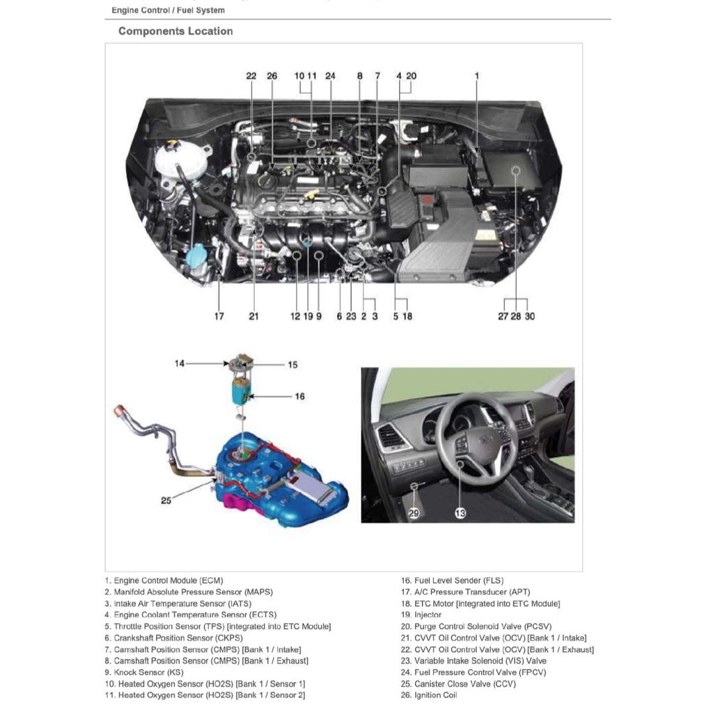 HYUNDAI TUCSON TL 1.6L T-GDI & 2.0L GDI (2016-2021) SERVICE WORKSHOP MANUAL IN PDF FORMAT (
1400 PAGES
) SUPPLIED AS DOWNLOADABLE LINK.
This is the same type of service manual your local HYUNDAI dealer will use when doing a repair. This manual has detailed illustrations as well as step by step instructions. All pages are printable, so run off what you need and take it with you into the garage or workshop.
WE ARE OFFERING A CHOICE OF TWO ENGINES FOR THIS MANUAL (SELECTED UPON CHECKOUT):
-
1.6L T-GDI (GAMMA)
- 2.0L GDI (NU)
REFERENCE POWERTRAIN
Engine
Petrol:
1.6 L Gamma GDi I4
1.6 L Gamma T-GDi I4
2.0 L Nu MPi I4
2.0 L Nu GDi I4
2.4 L Theta II MPi I4
2.4 L Theta II GDi I4
Diesel:
1.6 L U II CRDi I4
1.7 L U II CRDi I4
2.0 L R II CRDi I4
Transmission
6-speed manual
6-speed automatic
8-speed automatic
7-speed DCT
WHAT'S INSIDE ?
Detailed sub-steps expand on repair procedure information
Notes, cautions and warnings throughout each chapter pinpoint critical information.
Numbered instructions guide you through every repair procedure step by step.
Bold figure number help you quickly match illustrations with instructions.
Detailed illustrations, drawings and photos guide you through every procedure.
Enlarged inset helps you identify and examine parts in detail.
Numbered table of contents easy to use so that you can find the information you need fast.
This manual also makes it easy to diagnose and repair problems with your machines electrical system.
Troubleshooting and electrical service procedures are combined with detailed wiring diagram for ease of use. - Image 8