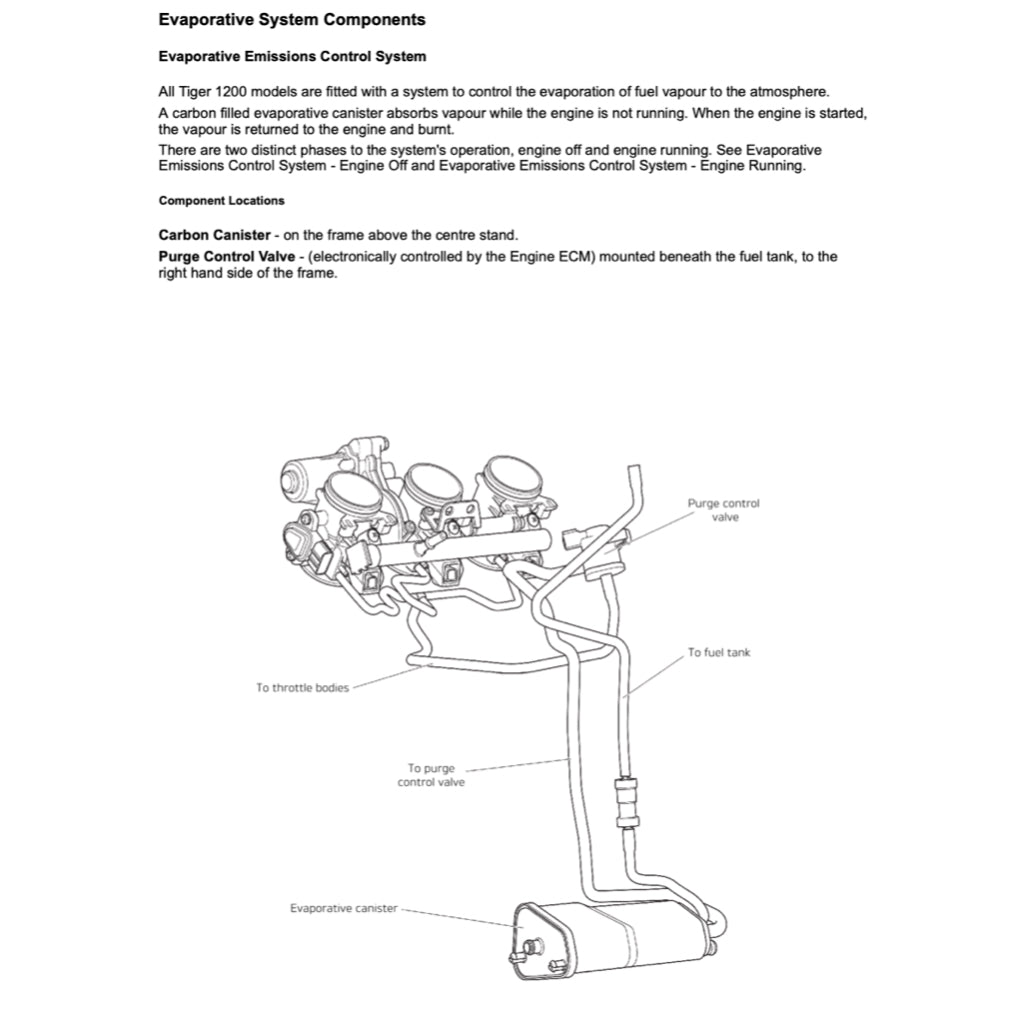 TRIUMPH TIGER 1200 XCX (2016-2023) SERVICE WORKSHOP MANUAL + OWNER'S MANUAL - Image 10