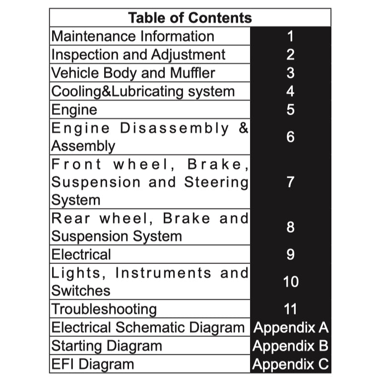 CFMOTO 300NK (2020-2024) SERVICE WORKSHOP MANUAL + PARTS CATALOGUE + OWNER'S MANUAL - Image 3