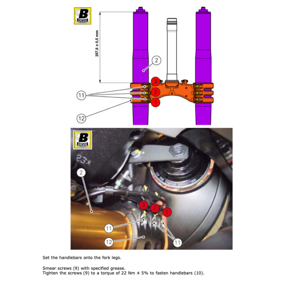 DUCATI PANIGALE 899 (2013-2015) SERVICE WORKSHOP MANUAL + PARTS CATALOGUE + OWNER MANUAL - Image 6