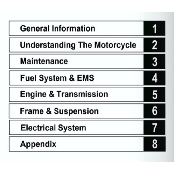 MODENAS DOMINAR 250 DM250 (2023+) SERVICE WORKSHOP MANUAL + PARTS CATALOGUE + OWNER'S MANUAL - Image 3
