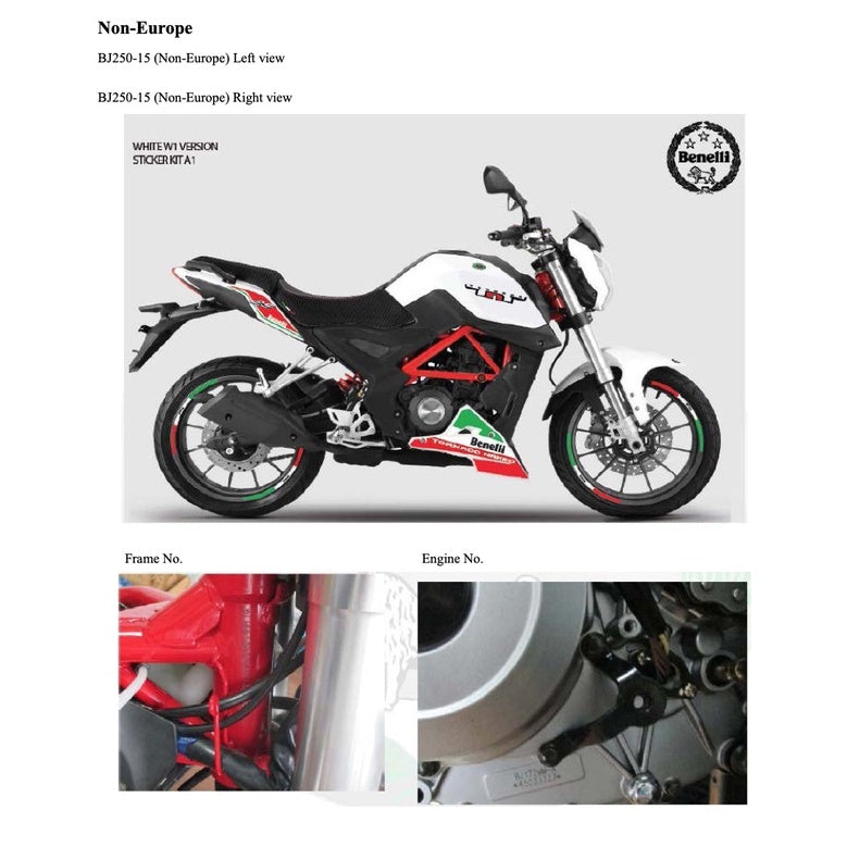 BENELLI TNT25 BN251 (2014-2017) SERVICE WORKSHOP MANUAL + PARTS CATALOGUE + OWNER'S MANUAL - Image 10